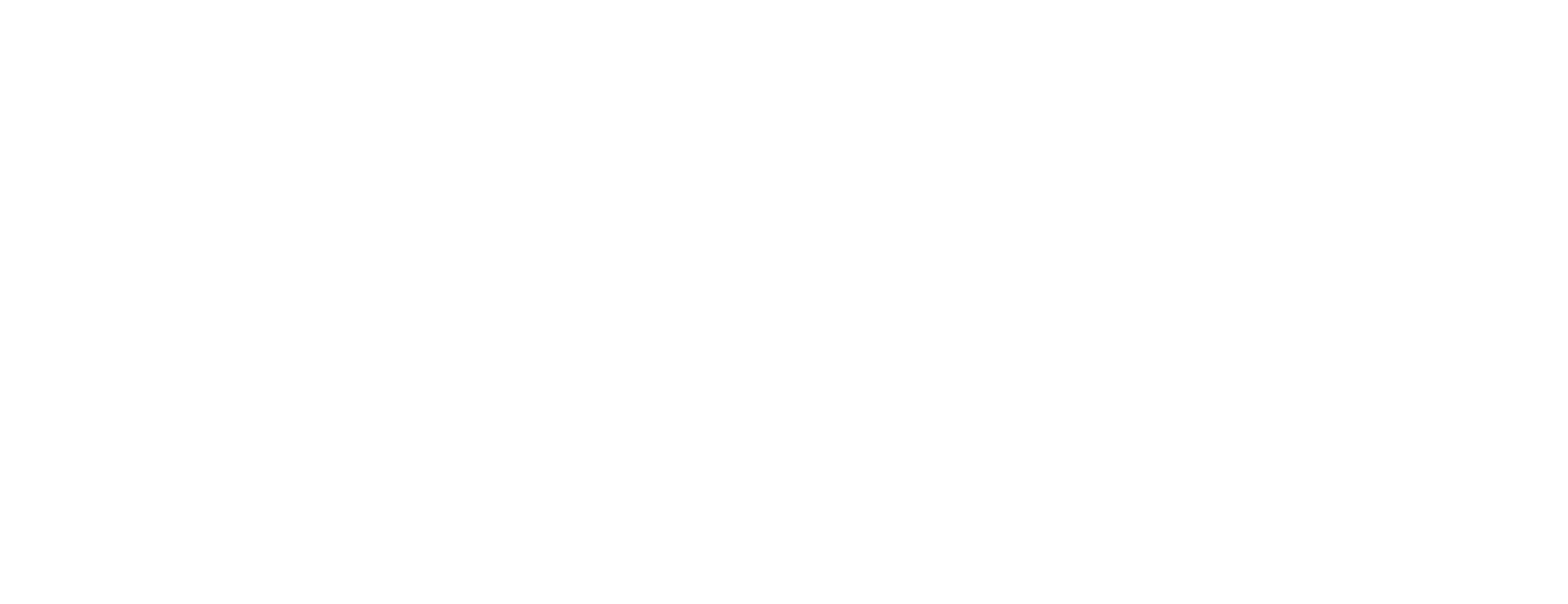 ALFA Inspecties